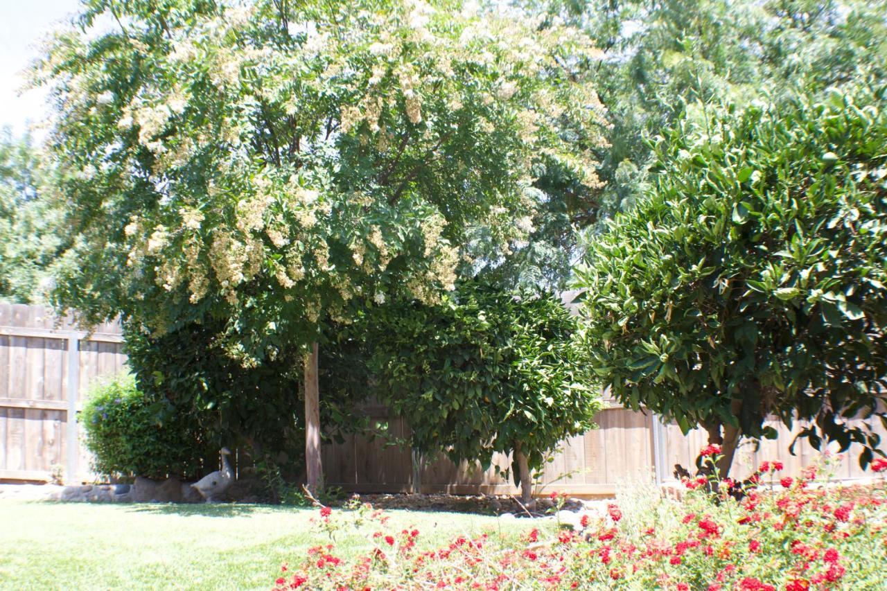 Villa Gateway Retreat: Short Drive To The Sequoias Exeter Exterior foto